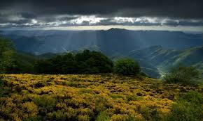 Cevennes brumeuses