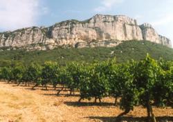 Pic st loup